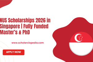 NUS Scholarships 2026